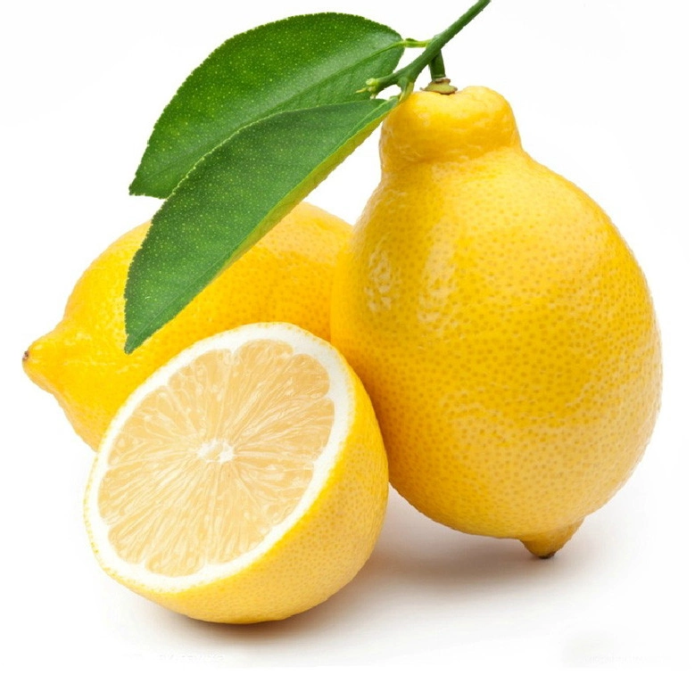 Total Natural Citrus Lemon Juice Powder Lemon Fruit Extract Citrus Limon Extract